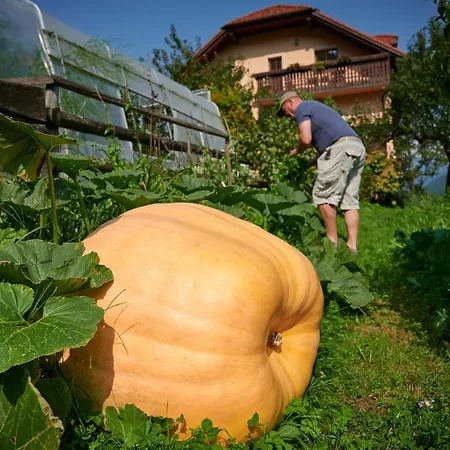 Tourist Farm Kolar Ljubno