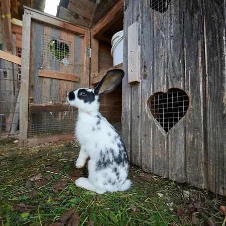 Tourist Farm Kolar 팜스테이