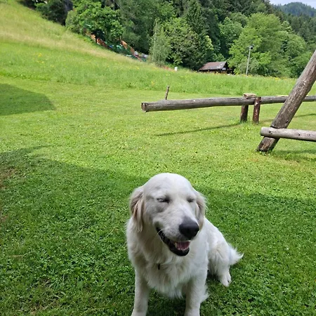 Tourist Farm Kolar * Ljubno