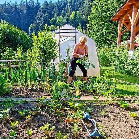 Tourist Farm Kolar Alojamento de Turismo Rural Ljubno