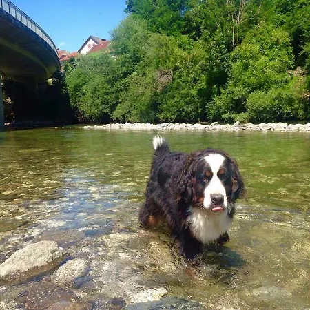 Tourist Farm Kolar 팜스테이 *