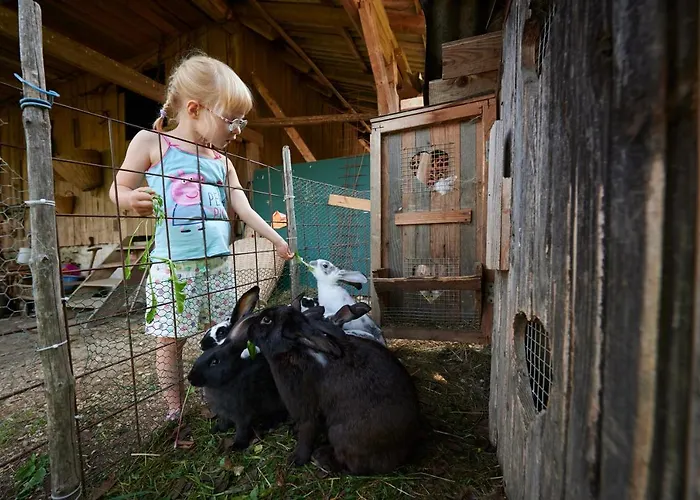 팜스테이 Tourist Farm Kolar Ljubno