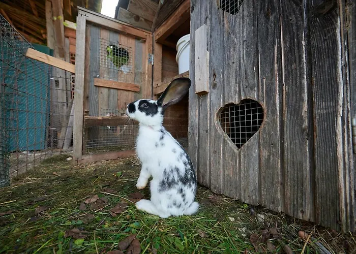 Tourist Farm Kolar Smještaj na farmi