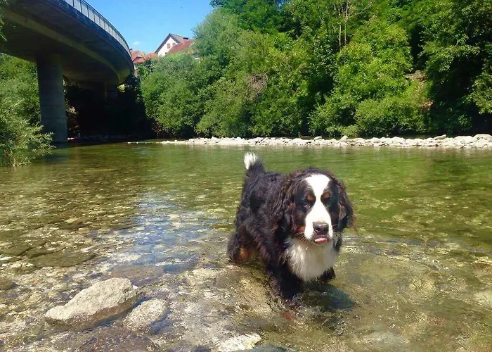 Tourist Farm Kolar Vakantieboerderij *
